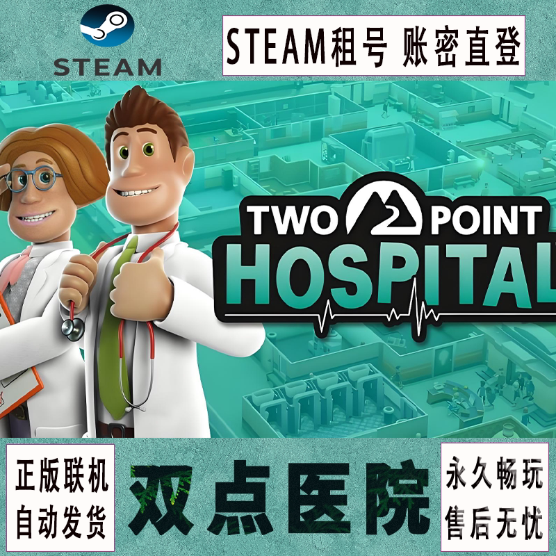 Steam Official Version Two Point Hospital Game Rental Account Login with Password