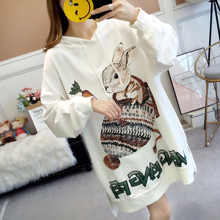 New pregnant women's clothing spring and autumn Han edition loose large code long-sleeved long-sleeved sweater spring clothes mom