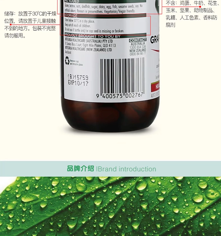 Chiết xuất hạt nho Thompson proanthocyanidin chiết xuất không phải bột làm trắng da chống nắng tại chỗ - Thức ăn bổ sung dinh dưỡng