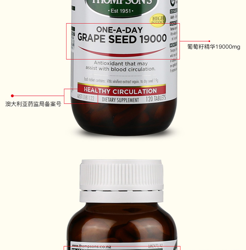 Chiết xuất hạt nho Thompson proanthocyanidin chiết xuất không phải bột làm trắng da chống nắng tại chỗ - Thức ăn bổ sung dinh dưỡng thực phẩm chức năng tăng chiều cao