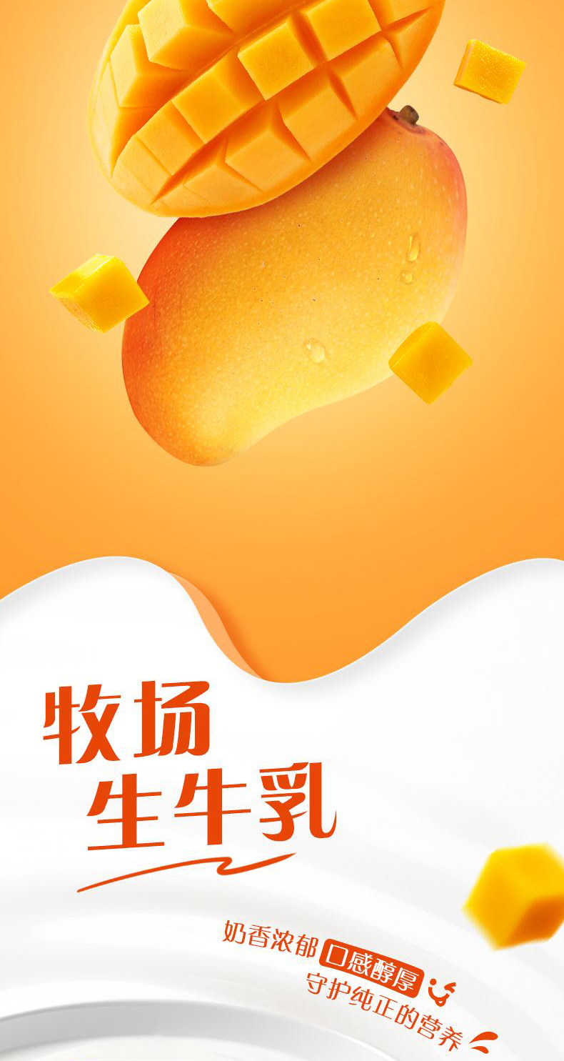 安享好物 安享C级酸奶-蒙牛纯甄 芒果酸奶 国标 