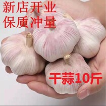 Garlic headband box 10 pounds of Henan garlic low-cost farmers own purple and white garlic fresh new dried garlic