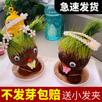 Wheat Grass Doll Seed Grass Watering Long Grass Plant Grass Head With Tray Creative Couples Head Long Grass Doll Small Potted Plant