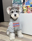 Демисезонный шнурок-держатель, флисовая удерживающая тепло толстовка, в корейском стиле