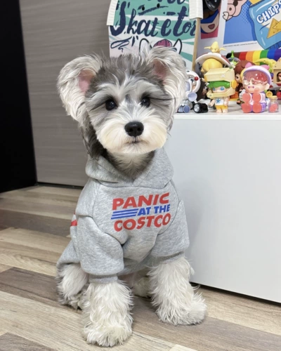 Демисезонный шнурок-держатель, флисовая удерживающая тепло толстовка, в корейском стиле