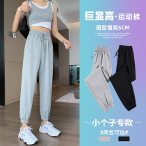Grey Sports Pants Women Spring Autumn Slim style casual pants 2021 new small sub loose bunches Straight Drum Fall Sweatpants
