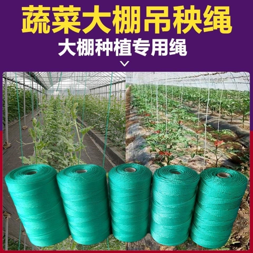 Woven Mesh Route Polyethylene Wire Fishing Net Braided Wire Nylon Rope Nylon Wire Canopy Line Bundling Up the Internet Line