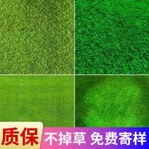 Plastic lawn carpet grass outdoor non-slip roof insulation fake grass roof sunscreen sun room sunshade outdoor bedding