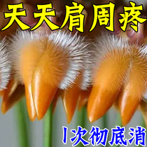 (Night Out of the night) Shoulder Chow special sticking plaster shoulder Acid pain Therapeutic Lift Arm Difficulty Hot Compress Shoulder Protector FY