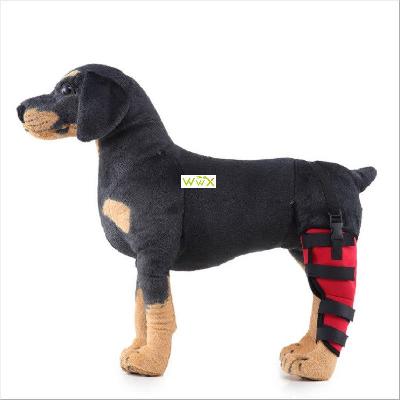 Pet Leg Support Supplies One Pair Dog Hind Leg Protector Dog
