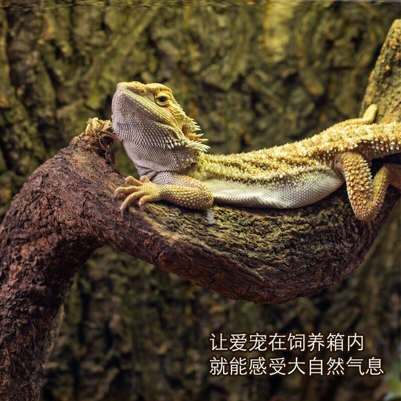Recommended natural rattan climbing pet landscaping handy gadget! 25 ...