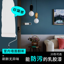 Art paint background wall Water-based wall paint Indoor self-brush household wall art paint brush old wall renovation gypsum line