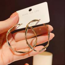 Europe and the United States exaggerated circle metal ear ring female Korean temperament circle s925 silver needle personality Joker net red earrings