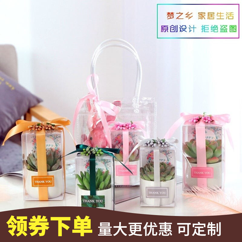 Birthday Mini hand carrying elders Potted Teachers Festival Girls Multimeat Plant Send Teacher Gift Box Celebration Special Women
