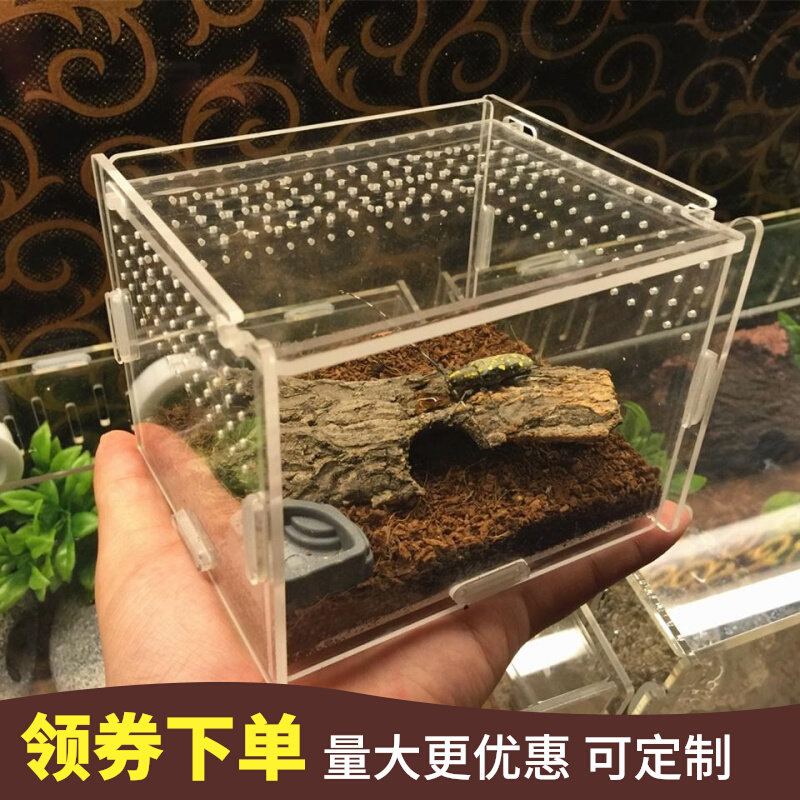 Snail box pet nest unicornus adult breeding box earthworm breeding box household crawling pet nest with lid to prevent escaping