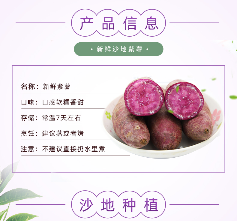 【3斤整箱】臻薯源紫薯新鲜农家蜜薯