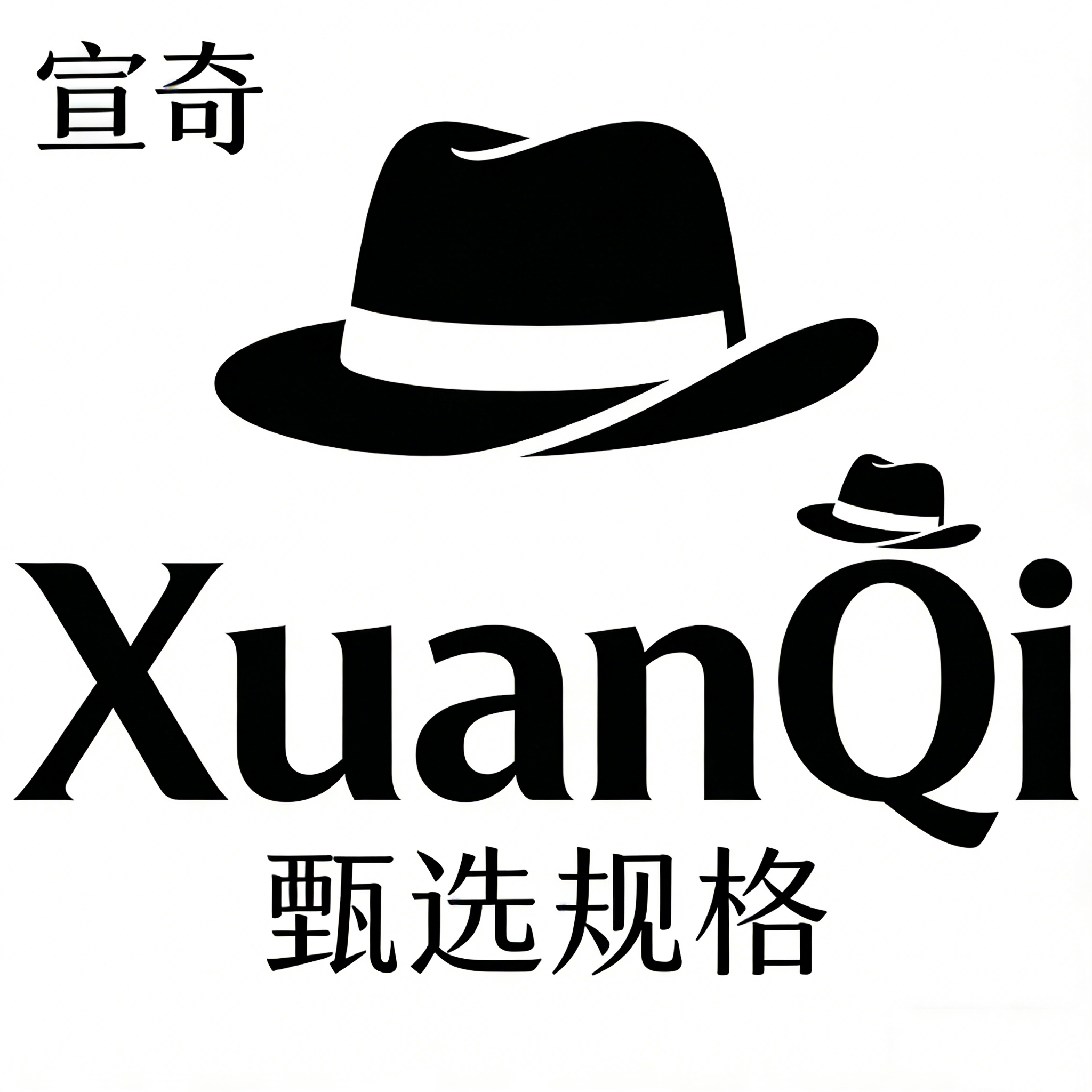 宣奇旗舰店