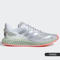 Модель основного изображения FV6960