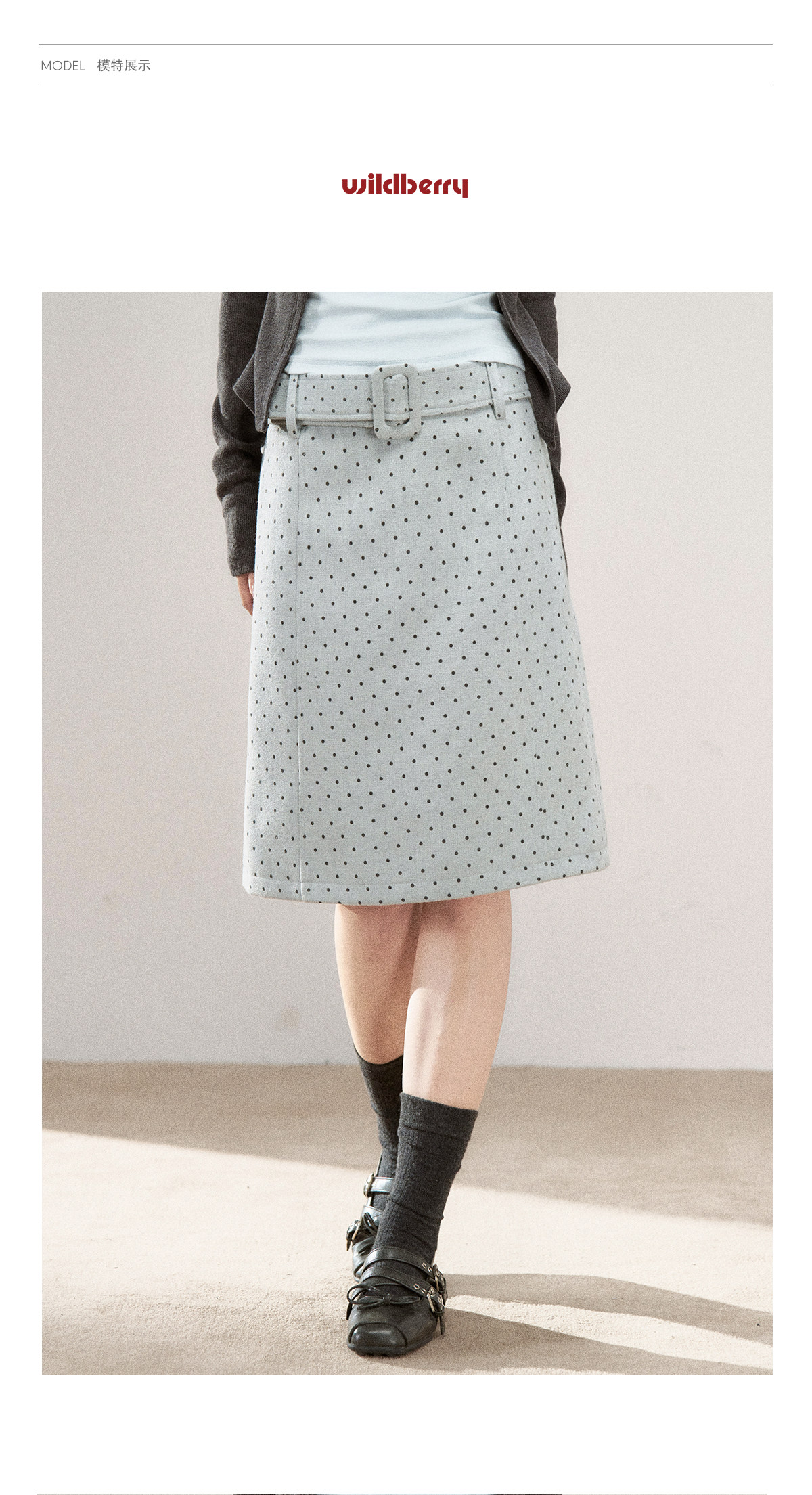 Wildberry Polka Dot Belted A-Line Midi Skirt