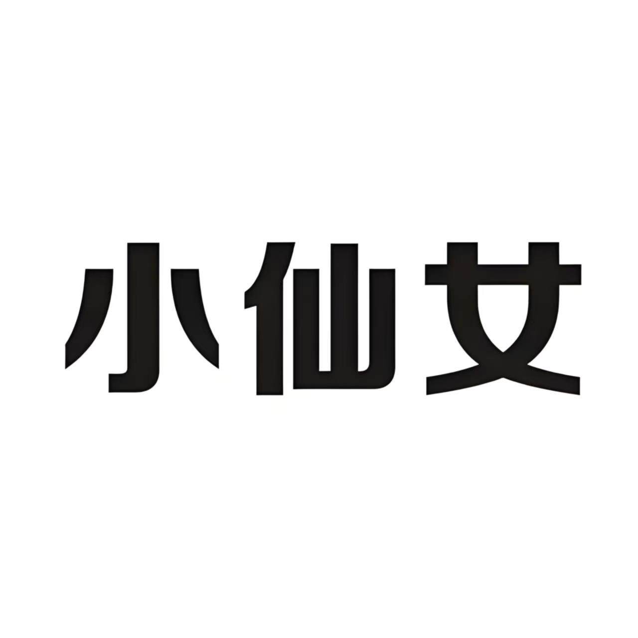 小仙女儿童装店