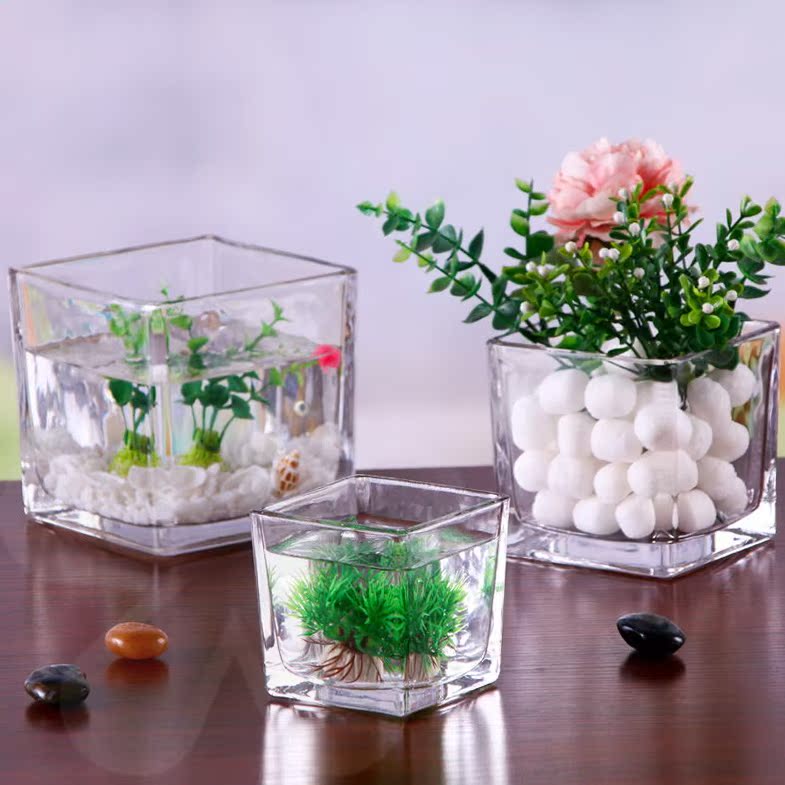 Hydroponic vessel creative glass flower pot hydroponic plant bottle transparent flowerware gold kudzu white palm vase square container