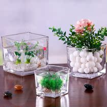 Water Peapware Creative Glass Flower Pot water raising plant Bottle transparent florin green Laura White palm Vase Square Container