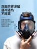 Full-Face Gas Mask for Toxic Gases, Spray Painting, Hydrogen Sulfide, Chemical Plants, Fully Enclosed, Carbon Monoxide Protection