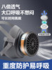German High-Grade Dust-Proof and Anti-Toxic Masks, Heavy-Duty Dust Masks, Chemical Masks, Spray Paint-Specific Chemical Gas Masks