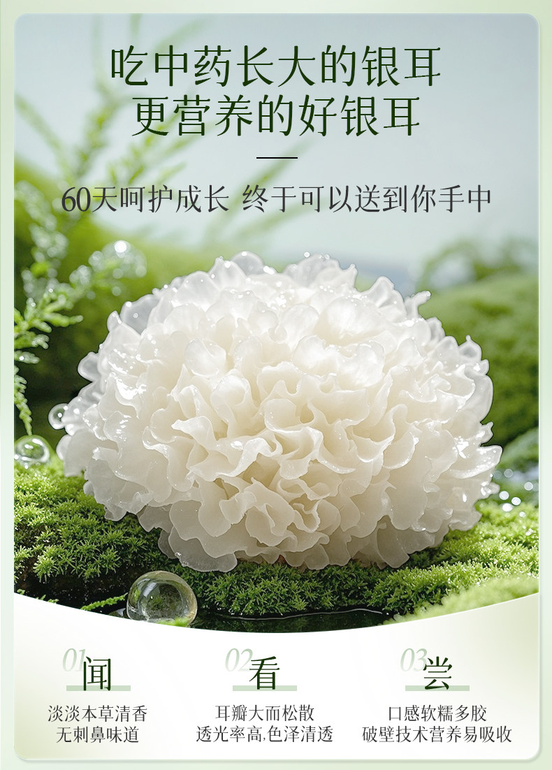金絲耳有機富硒銀耳干貨60g