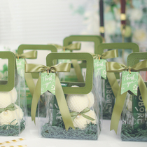 Transparent gift bag high-end light luxury small souvenir handbag large gift bag plastic packaging box empty