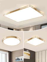 Official Net Bull Led Suction Dome Light 2022 New Living Room Headlights Master Bedroom Chandelia Lamp Large Full Modern Brief