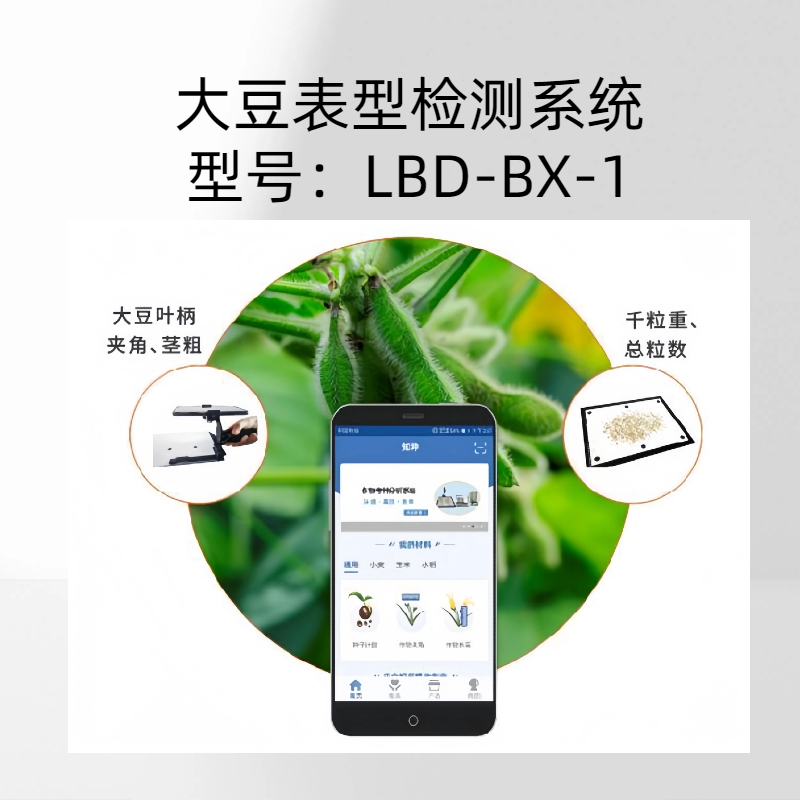大豆表型检测系统 LBD-BX-1大豆夹角测量范围0-180°误差±5%