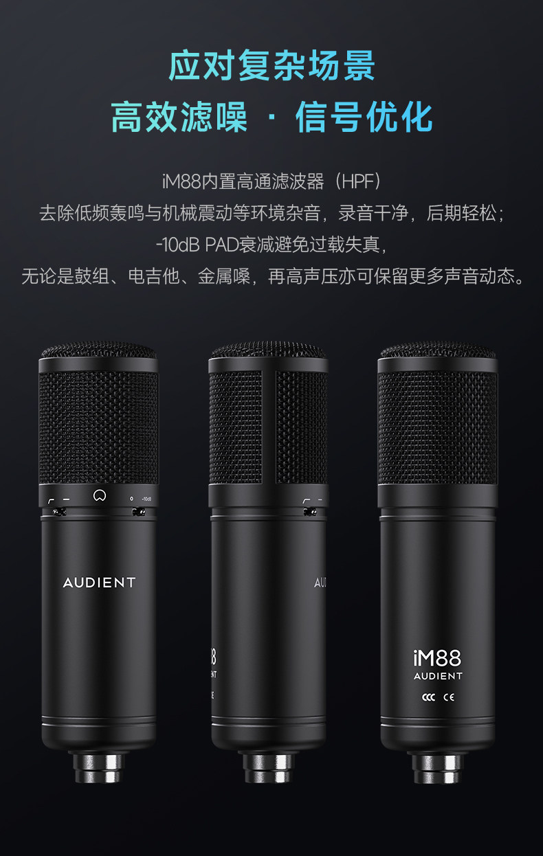 Audient/奥顿特iM88插图12