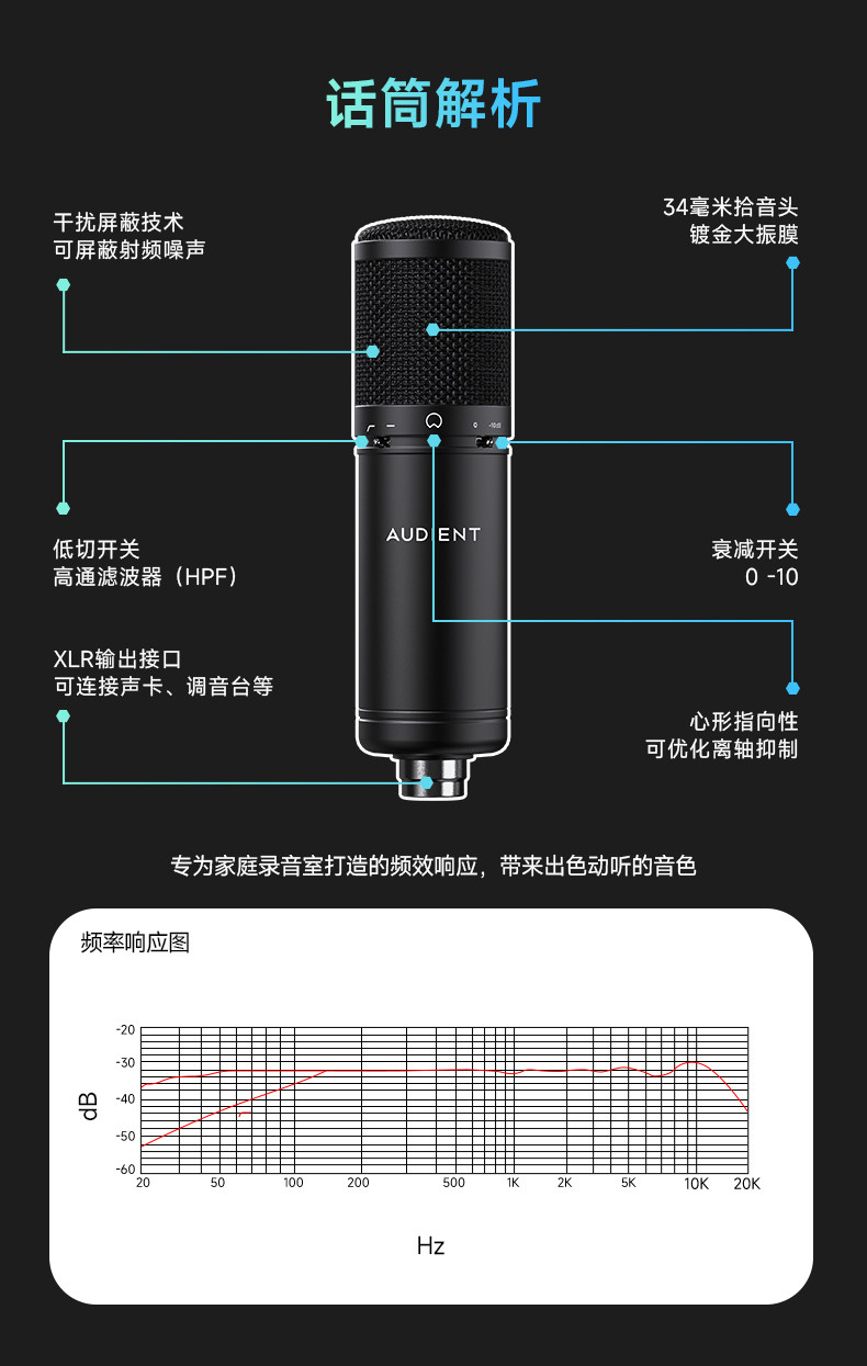 Audient/奥顿特iM88插图13