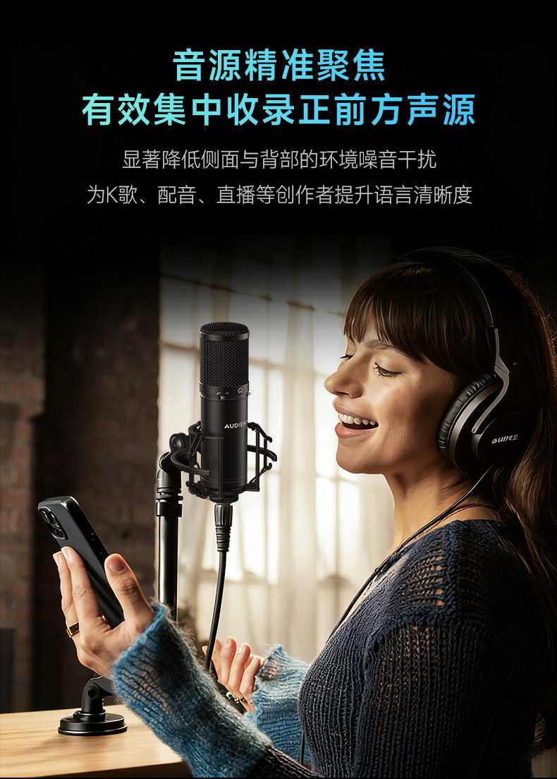 Audient/奥顿特iM88插图8