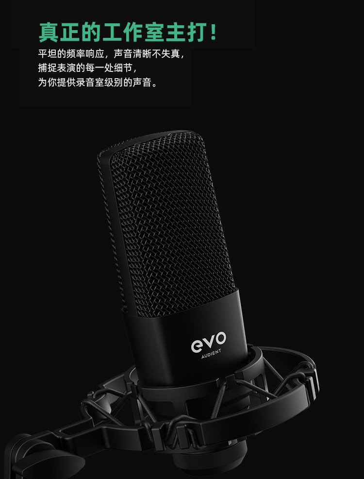 Audient/奥顿特SR1插图2