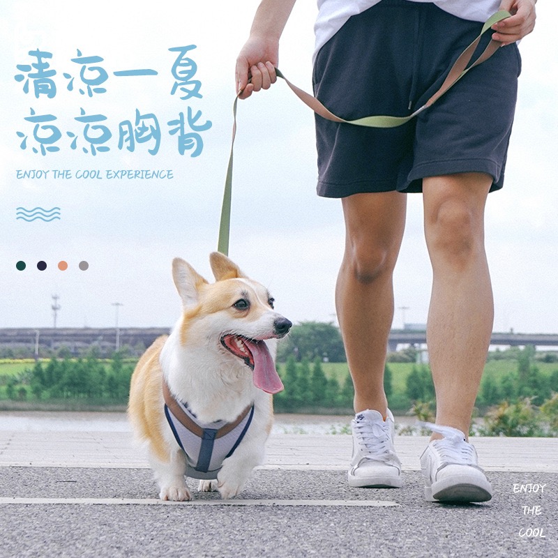 Dog chest hold baby bag pet traction rope chain collar Keji Mao Alaska small, medium and large dog explosion-proof punch