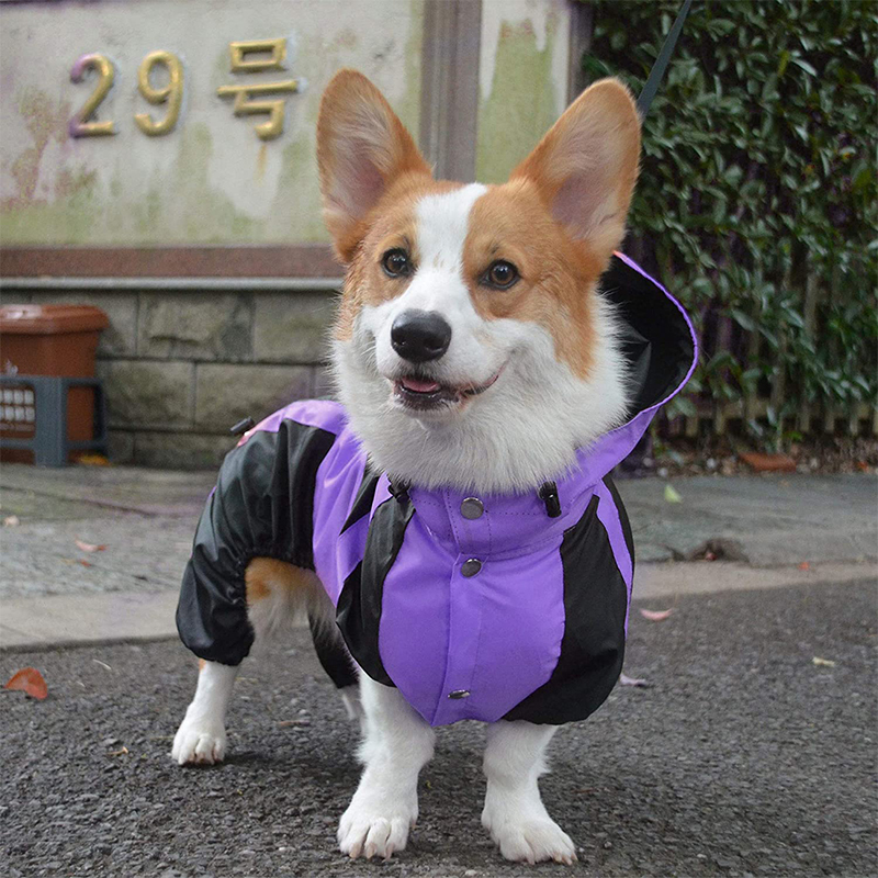 Corgi raincoat dog four-legged hooded small short legs special waterproof clothes pet small and medium sized dog rainproof day