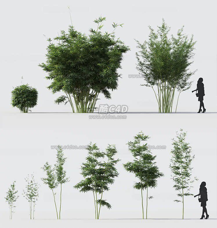 一酷C4D 户外风景景观植物竹林景观竹子绿竹青竹毛竹3D模型