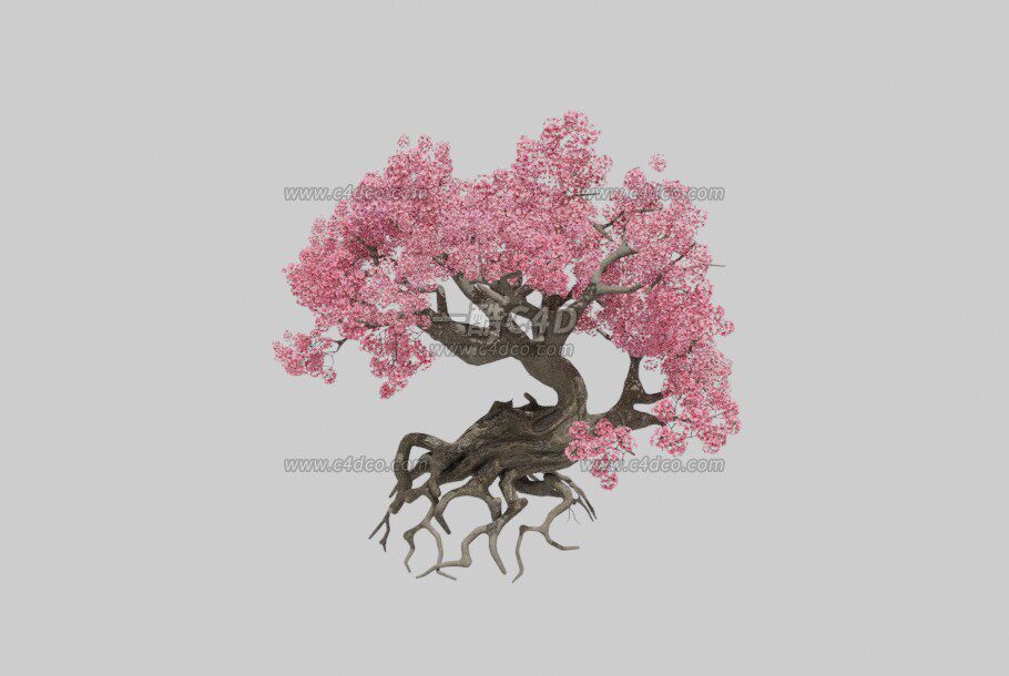 blender东京樱花树木3D模型带材质贴图