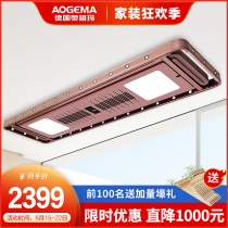  German Ogma electric clothes rack remote control lifting intelligent clothes dryer ultra-thin invisible bracket with voice-activated clothes rod