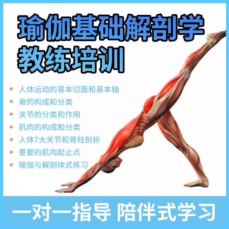 Yoga Video Tutorials, Yoga Anatomy, Instructor Training, Physical Therapy, Anatomy, Musculoskeletal Structure Classification Courses Yoga Video Tutorials, Yoga Anatomy, Instructor Training, Physical Therapy, Anatomy, Musculoskeletal Structure Classification Courses