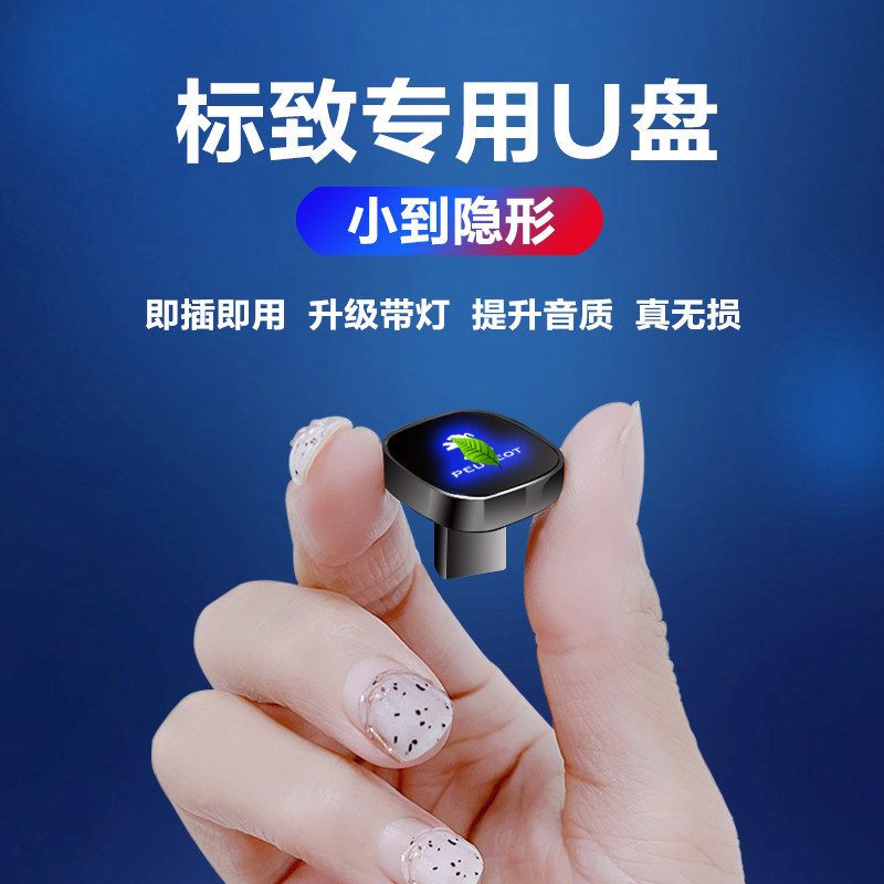 Suitable for Peugeot car special U disk lossless high-quality car special new Type-c mini U disk