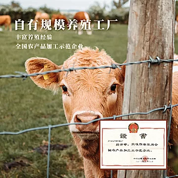 【大块吃肉】张飞牛肉面226g*3盒[10元优惠券]-寻折猪