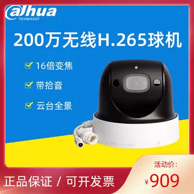 Dahua 2,000,004 X Zoom WIFI rotating outdoor infrared recording ball machine DH-SD-29D204UE-GN-WD