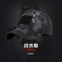 Gift (send hat of the same style as clothes)