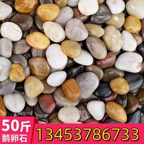 Yuhua stone raw stone pebbles natural pebbles courtyard decoration colorful stones hydroponic fish tank flower pot pebbles