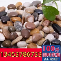 Yuhua Stone Raw Stone Boutique Yuhua Stone Raw Stone Fish Tank Colored Stone Natural Pebbles Natural Pebbles Stones