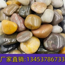 Yuhua stone original stone natural pebbles succulent paving potted fish tank pebbles colorful small flower stones