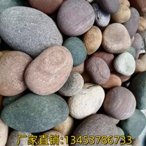 Natural river pebbles for landscaping river beach stones landscape stones filter material for substation engineering paving river pebbles
